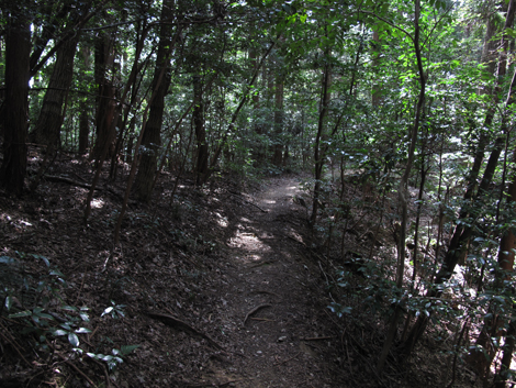 20161007hike (40)